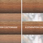 Torino коричневый