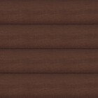 Красный дуб, павловния, 50-61